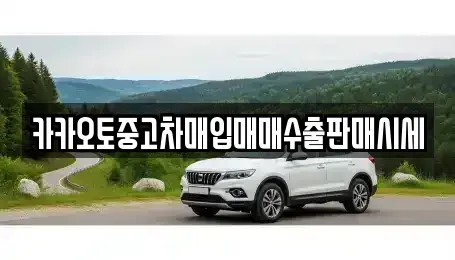 경기도 의왕시 이동 중고차 전문 카카오토중고차매입매매수출판매시세