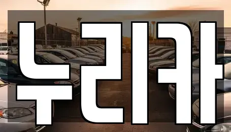 경기도 화성시 송산면 렌트카 전문 누리카