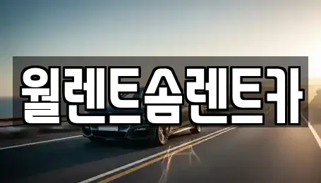 경기도 화성시 송산면 렌트카 전문 월렌트솜렌트카