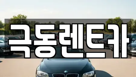 경남 밀양시 내이동 렌트카 전문 극동렌트카