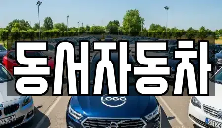 경남 통영시 도산면 중고차 전문 동서자동차