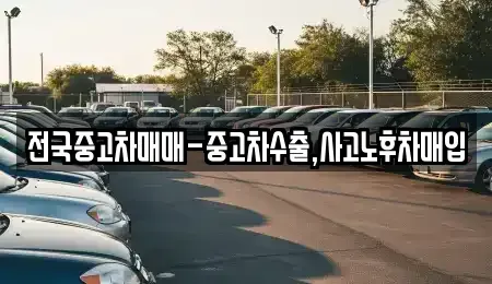 경남 통영시 항남동 중고차 전문 전국중고차매매-중고차수출,사고노후차매입
