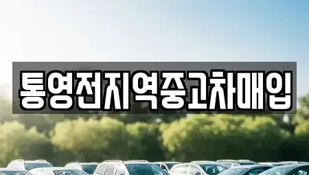 경남 통영시 항남동 중고차매입 전문 통영전지역중고차매입