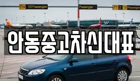 경북 안동시 서후면 중고차 전문 안동중고차신대표