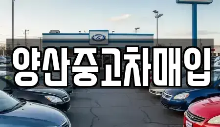 경상남도 김해시 대동면 중고차매매 전문 양산중고차매입