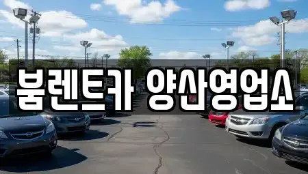 경상남도 양산시 동면 렌트카 전문 붐렌트카 양산영업소