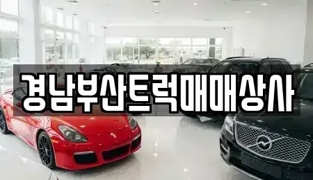 경상남도 양산시 동면 중고차매매 전문 경남부산트럭매매상사