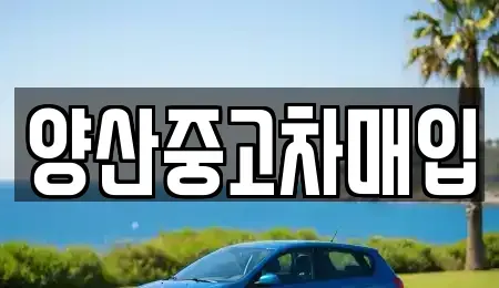 경상남도 양산시 동면 중고차매입 전문 양산중고차매입