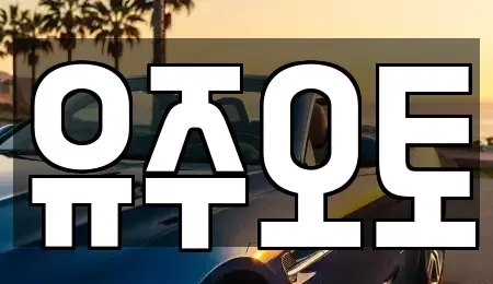 경상남도 양산시 동면 중고차매입 전문 유주오토