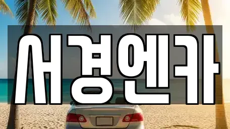 경상남도 진주시 렌트카 전문 서경엔카