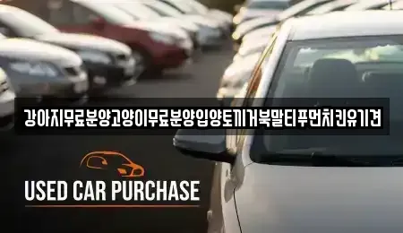 경상남도 창원시 마산합포구 두월동1가 중고차매입 전문 강아지무료분양고양이무료분양입양토끼거북말티푸먼치킨유기견