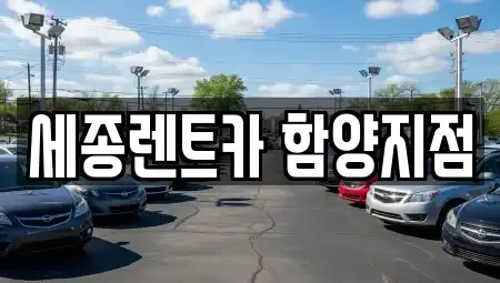 경상남도 함양군 병곡면 렌트카 전문 세종렌트카 함양지점