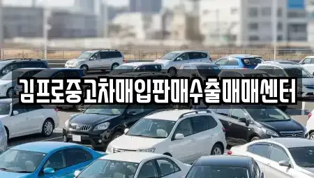 경상남도 함양군 병곡면 중고차매입 전문 김프로중고차매입판매수출매매센터