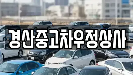 경상북도 경산시 대동 중고차 전문 경산중고차우정상사