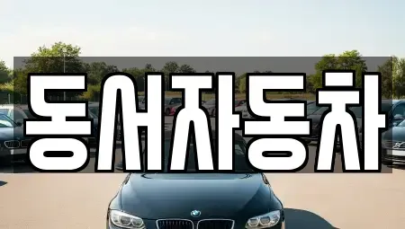 경상북도 경산시 대동 중고차 전문 동서자동차