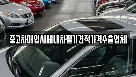 경상북도 영양군 수비면 단기렌트카,중고차매입,중고차매매,중고차,렌트카,장기렌트카