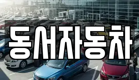 경상북도 포항시 북구 득량동 중고차 전문 동서자동차