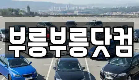 경상북도 포항시 북구 득량동 중고차 전문 부릉부릉닷컴