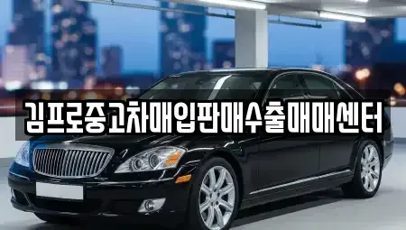 경상북도 포항시 북구 득량동 중고차매입 전문 김프로중고차매입판매수출매매센터