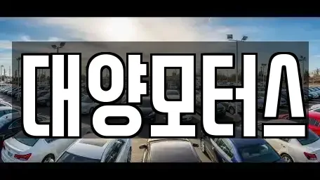 광주광역시 광산구 산월동 중고차매매 전문 대양모터스