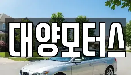 광주광역시 광산구 신룡동 중고차 전문 대양모터스