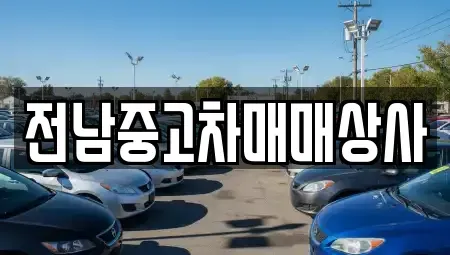 광주광역시 광산구 신룡동 중고차 전문 전남중고차매매상사