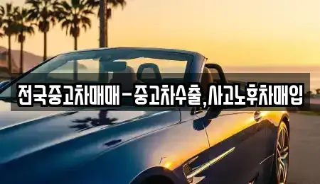 대구광역시 동구 사복동 중고차매입 전문 전국중고차매매-중고차수출,사고노후차매입