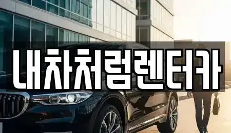 대구광역시 동구 신무동 렌트카 전문 내차처럼렌터카