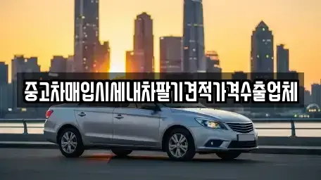 대구광역시 동구 신무동 중고차 전문 중고차매입시세내차팔기견적가격수출업체