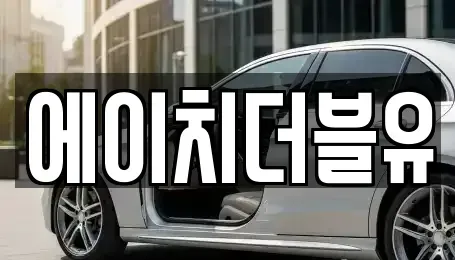 대구광역시 동구 신평동 렌트카 전문 에이치더블유