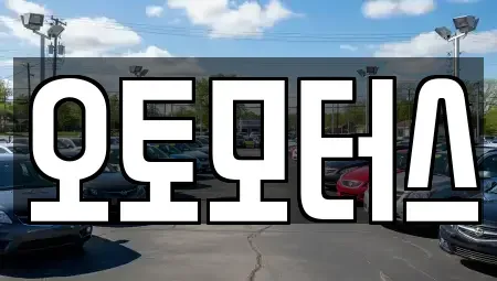 대구광역시 동구 신평동 중고차 전문 오토모터스