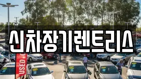 대구광역시 서구 원대동3가 렌트카 전문 신차장기렌트리스