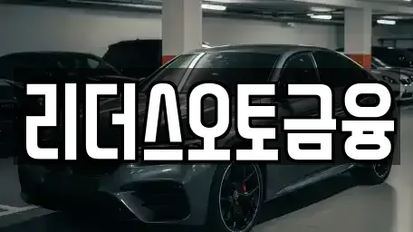 대구광역시 서구 원대동3가 장기렌트카 전문 리더스오토금융