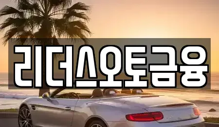 대구광역시 중구 남일동 장기렌트카 전문 리더스오토금융