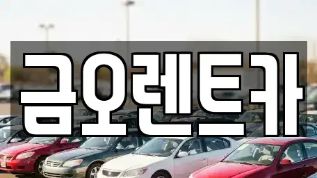 대구광역시 중구 수동 단기렌트카 전문 금오렌트카