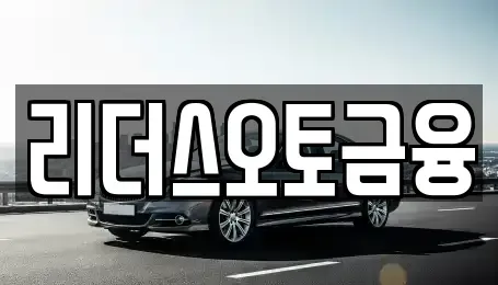 대구광역시 중구 수동 장기렌트카 전문 리더스오토금융