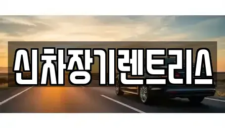 대구광역시 중구 수동 장기렌트카 전문 신차장기렌트리스