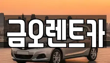 대구광역시 중구 시장북로 단기렌트카 전문 금오렌트카