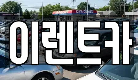 대구광역시 중구 시장북로 렌트카 전문 이렌트카