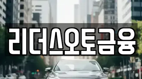 대구광역시 중구 시장북로 장기렌트카 전문 리더스오토금융