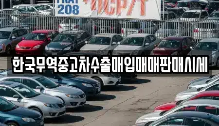대구광역시 중구 시장북로 중고차매매 전문 한국무역중고차수출매입매매판매시세