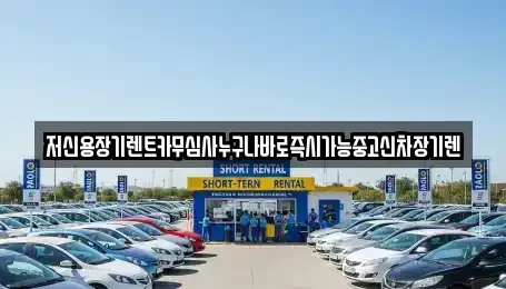 대전 유성구 구성동 장기렌트카 전문 저신용장기렌트카무심사누구나바로즉시가능중고신차장기렌