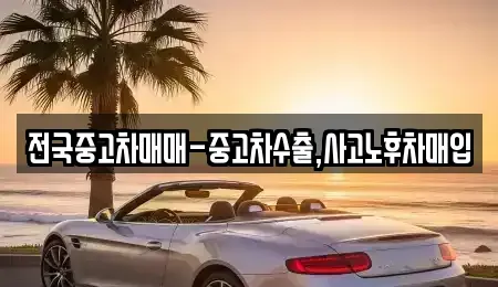 대전 유성구 구성동 중고차매입 전문 전국중고차매매-중고차수출,사고노후차매입