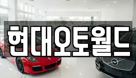 대전 유성구 복용동 중고차매입 전문 현대오토월드