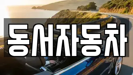 부산 중구 중앙동1가 중고차 전문 동서자동차