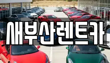 부산 중구 중앙동5가 렌트카 전문 새부산렌트카