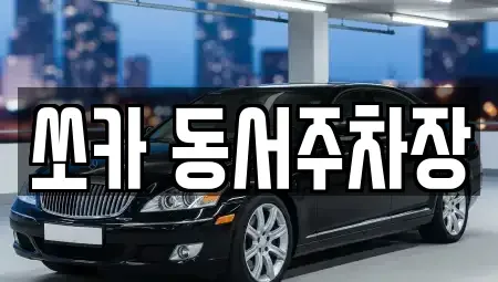 부산광역시 부산진구 범천동 렌트카 전문 쏘카 동서주차장