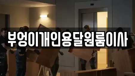 부엉이개인용달원룸이사