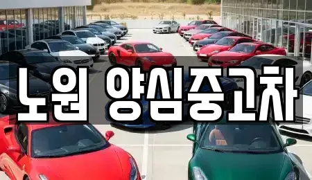 서울 노원구 중고차 전문 노원 양심중고차