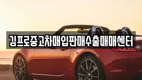 서울 노원구 중고차매입 전문 김프로중고차매입판매수출매매센터